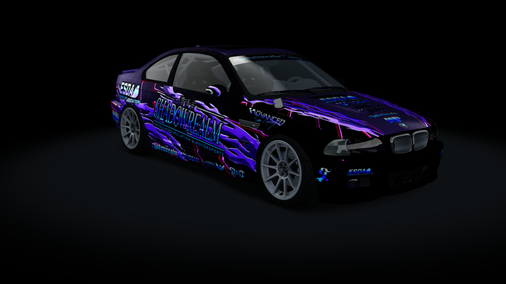 SRDL ProAM BMW M3 E46, skin _TeamSR